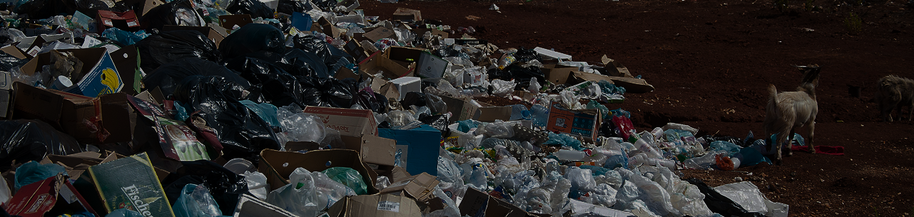 Society's awareness of sustainability and environmental issues is still low