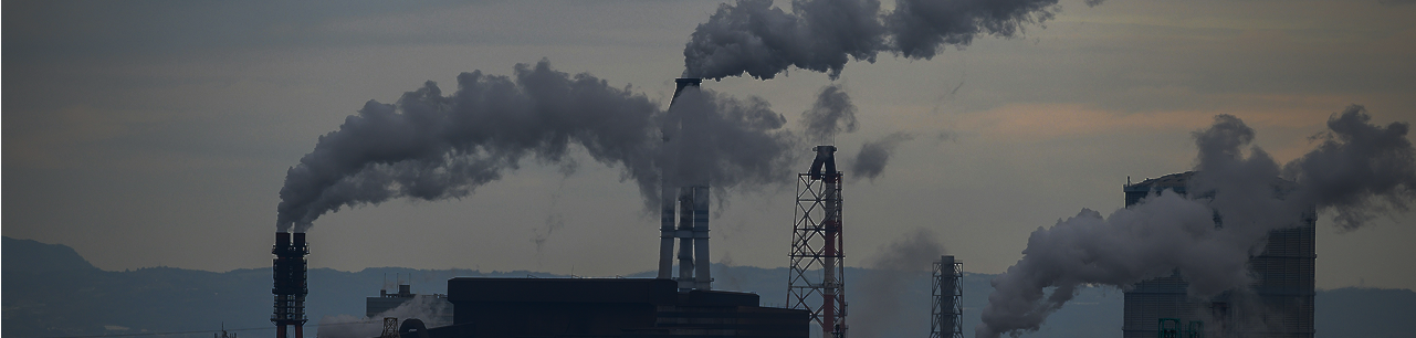 Despite our national pledges, real progress demands actionable strategies and community collaboration, Only 15% Company has emission and sustainability target